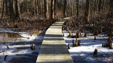 10 Picturesque Trails In Maryland That Are Perfect For Winter Hiking