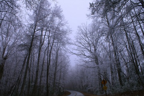 Here's The Most Scenic Drive You Can Possibly Take In Georgia This Winter