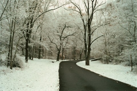 5 Picturesque Trails Around Nashville That Are Perfect For Winter Hiking