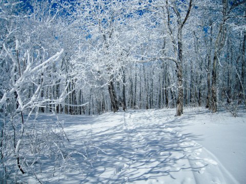 The Easy 2-Mile Winter Hike In Georgia That's Positively Bewitching