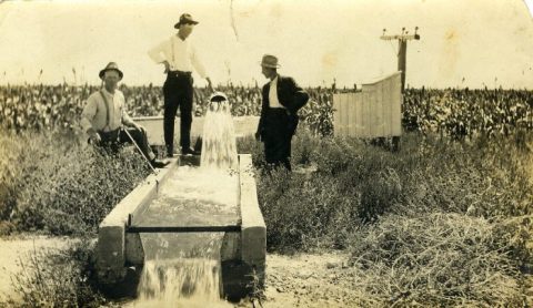 These 14 Rare Photos Show Kansas's Farming History Like Never Before