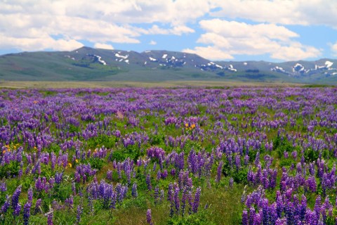 The 15 Most Vivid, Colorful Places In Idaho Are Absolutely Mesmerizing