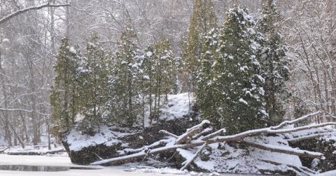 10 Picturesque Trails In Ohio That Are Perfect For Winter Hiking