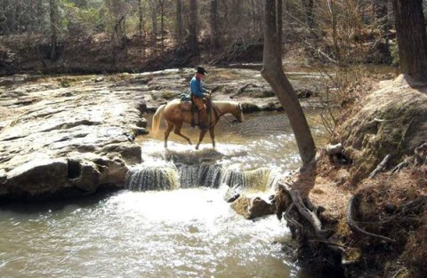 The Winter Horseback Riding Trail In Louisiana That's Pure Magic