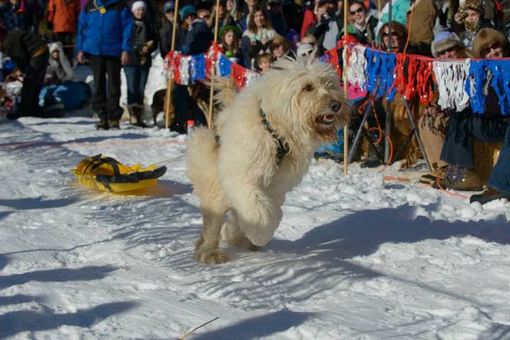 McCall Winter Carnival