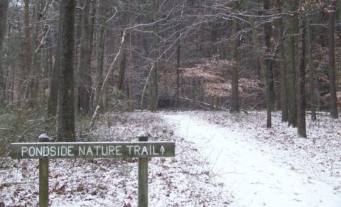 10 Picturesque Trails In Delaware That Are Perfect For Winter Hiking