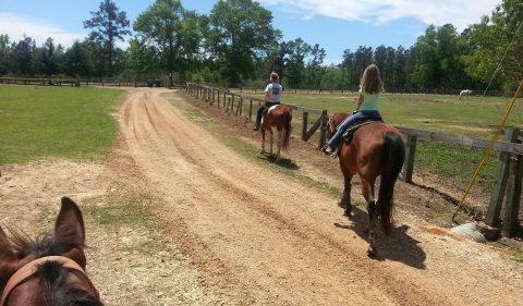 The Winter Horseback Riding Trail Near New Orleans That's Pure Magic