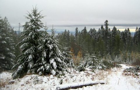 9 Picturesque Trails In Idaho That Are Perfect For Winter Hiking