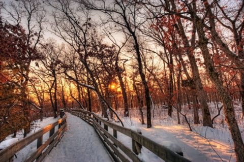 If You Live In Illinois, You’ll Want To Visit This Amazing Park This Winter