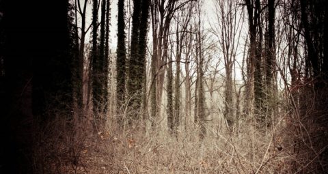 This Park In Maryland Has A Dark And Evil History That Will Never Be Forgotten