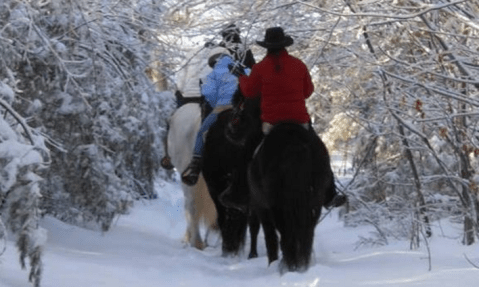 The Winter Horseback Riding Trail At Carousel Horse Farm In Maine Is Pure Magic