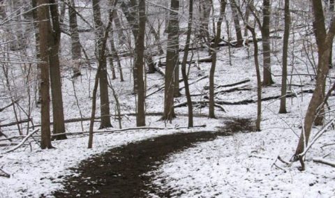 The One Winter Hike That Will Show You Nebraska Like Never Before