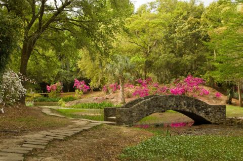 The Unique Park Everyone Near New Orleans Should Visit At Least Once