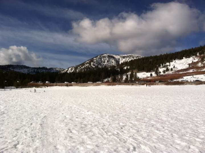 Tahoe Meadows