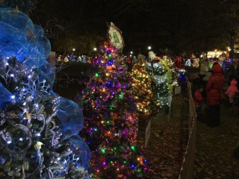 The Christmas Tree Trail In Alabama That Will Fill You With Holiday Cheer