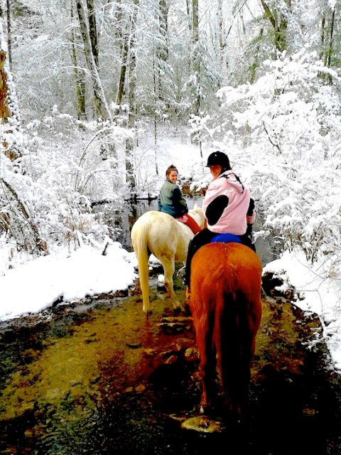 The Winter Horseback Riding Trail In Massachusetts That's Pure Magic