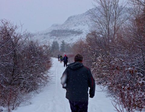 9 Picturesque Trails In Washington That Are Perfect For Winter Hiking