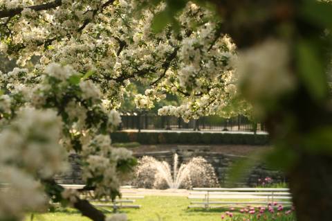 Visiting This One Park In Illinois Is Like Experiencing A Dream