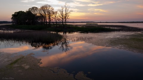 The Hidden Park That Will Make You Feel Like You've Discovered Delaware's Best Kept Secret