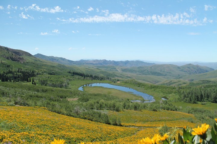 Jarbidge Wilderness