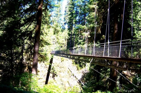 The Terrifying Swinging Bridge Near Portland That Will Make Your Stomach Drop