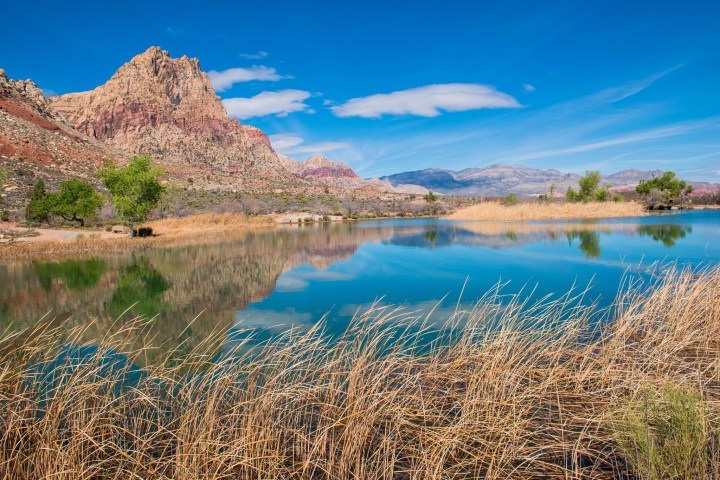 Spring Mountain Ranch