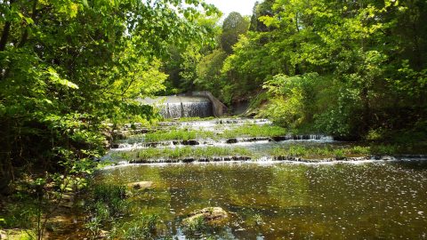 11 Amazing State Parks Near Louisville That Will Blow You Away