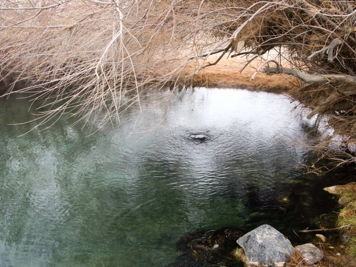 Hot Springs