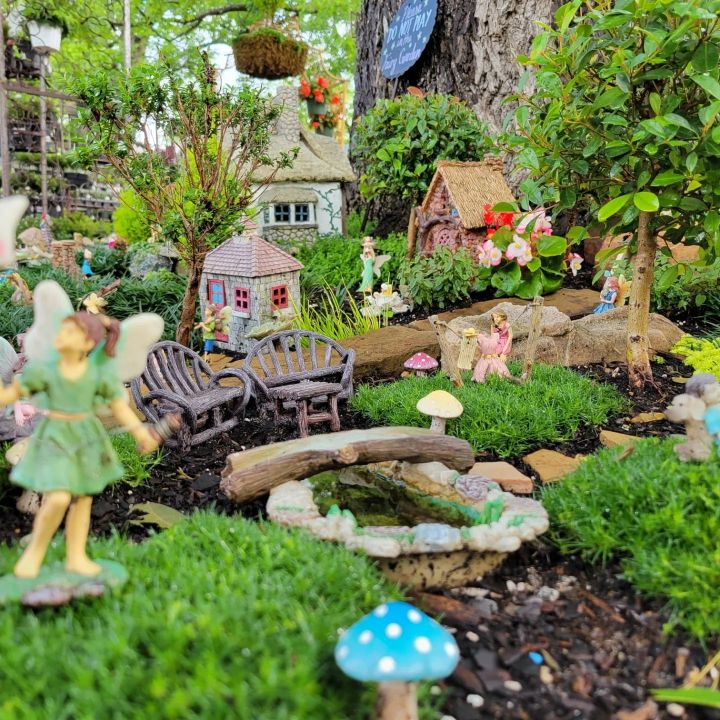 fairy garden in Texas