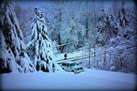 Winter Storm To Immobilize North Carolina: Meteorologist Predicted 8 Inches