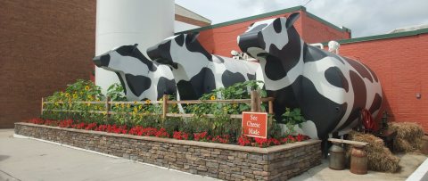 You're Guaranteed To Love A Trip To This Epic Cheese Shop In North Carolina