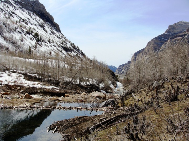 Lamoille Canyon