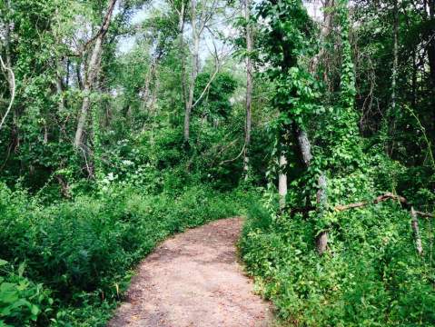 Most People Have No Idea There's A Fairy Garden Hiding In Pennsylvania And It's Magical