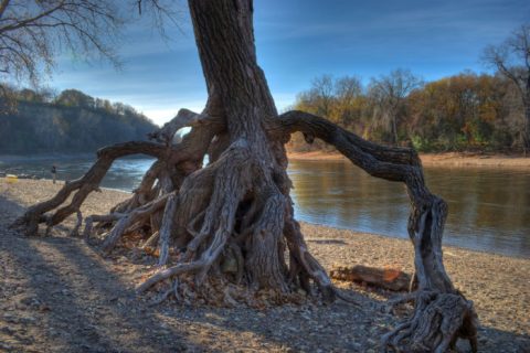 The Hidden Park That Will Make You Feel Like You've Discovered Minnesota's Best Kept Secret