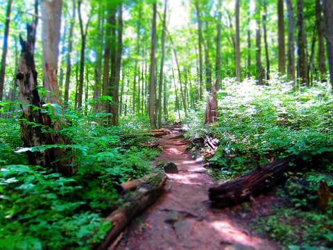 One Of The Most Beautiful Day Hikes In America Is Right Here In Virginia