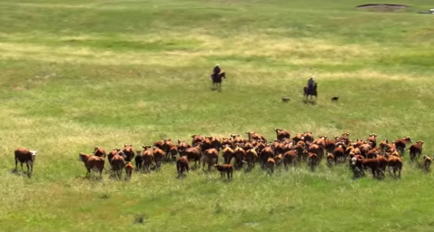 Someone Flew A Helicopter High Above Nebraska And Captured The Most Breathtaking Footage