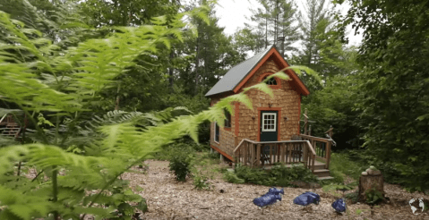 This Tiny Maine Cabin In The Middle Of Nowhere Will Enchant You