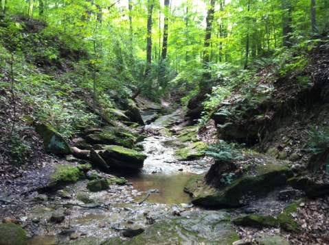 The Hidden Park That Will Make You Feel Like You've Discovered Indiana's Best Kept Secret