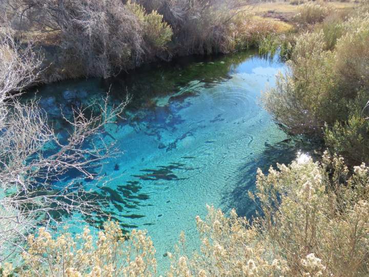 Ash Meadows National Wildlife Refuge