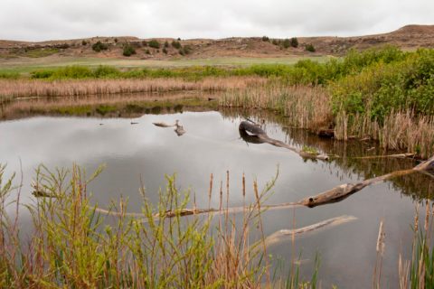 The Hidden Park That Will Make You Feel Like You've Discovered Kansas's Best Kept Secret