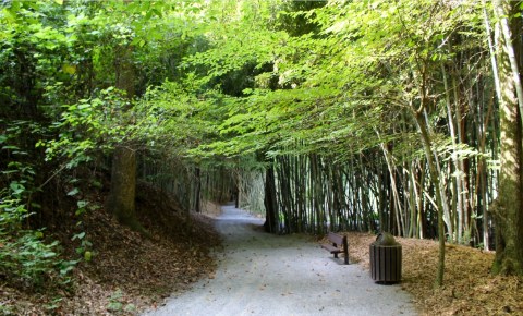 The Hidden Park That Will Make You Feel Like You've Discovered Alabama's Best Kept Secret