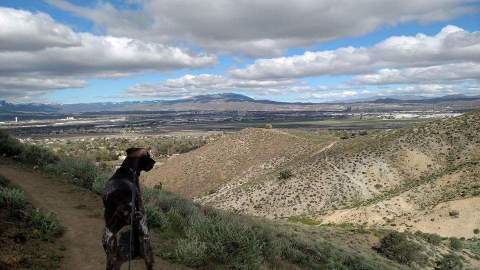 hike Nevada