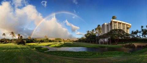 There's Something Incredibly Unique About This One Hotel In Hawaii