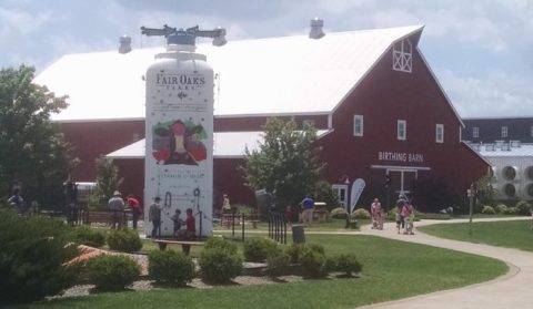 A Trip To This Epic Ice Cream Factory In Indiana Will Make You Feel Like A Kid Again