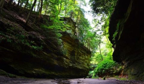 Indiana Has A Grand Canyon In Turkey Run State Park And It's Too Beautiful For Words