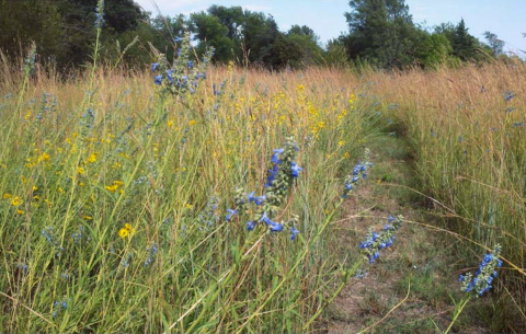 7 Perfectly Preserved Prairies In Nebraska That Will Take You Back In Time