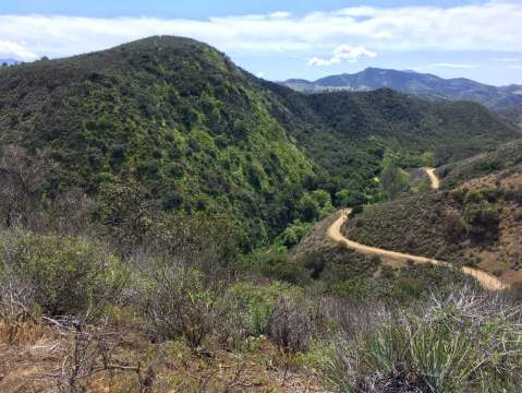 The Hidden Park That Will Make You Feel Like You've Discovered Southern California's Best Kept Secret