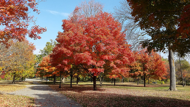 Indiana