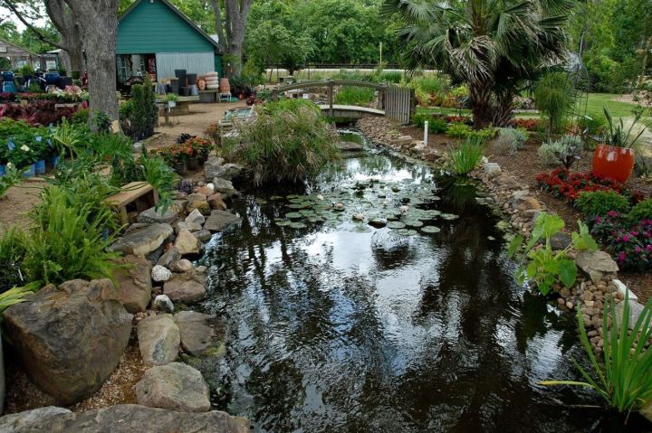 fairy garden in Texas