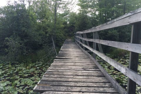 The Hidden Park That Will Make You Feel Like You've Discovered Wisconsin's Best Kept Secret